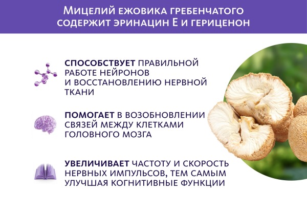 Сибирский концентрат №3 Meitan Крепкое Сибирское 